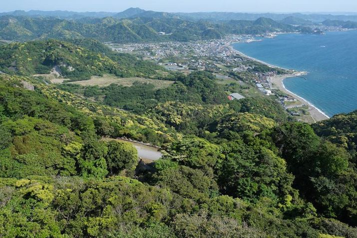 X-H2A11-20mm F/2.8 Di III-A RXDA20mmi35mmZ30mmjAISO125AF5.6A1/350bAzCgoXFI[gi͋CDjAtBV~[VFPROVIA/X^_[hBeʐ^i7728×5152A25.0MBj