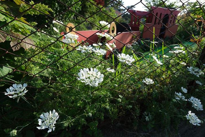 X-H2A11-20mm F/2.8 Di III-A RXDA11mmi35mmZ17mmjAISO125AF8A1/125bAzCgoXFI[gi͋CDjAtBV~[VFPROVIA/X^_[hBeʐ^i7728×5152A21.2MBj