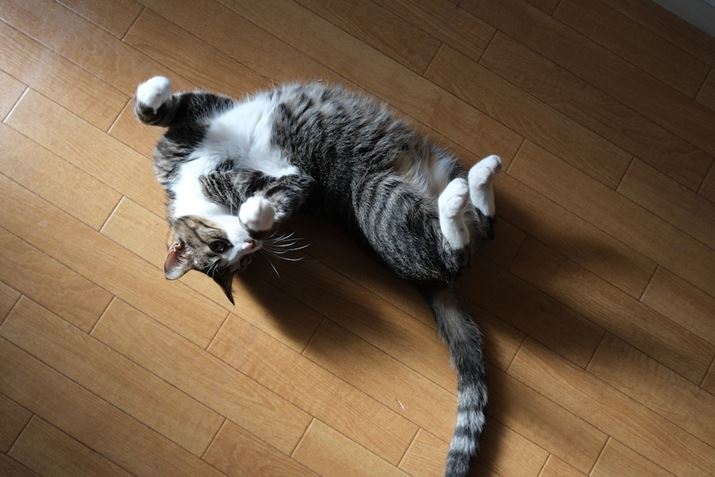 X-H2A11-20mm F/2.8 Di III-A RXDA20mmi35mmZ30mmjAISO800AF4A1/320bAzCgoXFI[gi͋CDjAtBV~[VFPROVIA/X^_[hBeʐ^i7728×5152A19.8MBj