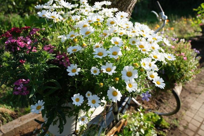 X-H2A11-20mm F/2.8 Di III-A RXDA16mmi35mmZ24mmjAISO125AF4A1/300bAzCgoXFI[gi͋CDjAtBV~[VFPROVIA/X^_[hBeʐ^i7728×5152A19.6MBj