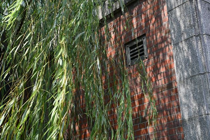 Z fcANIKKOR Z 40mm f/2AF5.6A1/250bAISO100AzCgoXFRI[gAsN`[Rg[FI[gAANeBuD-CeBOFȂABlbgRg[FWA䂪ݕ␳FAܕ␳FAJPEGABeFR~zBeʐ^i5568×3712A13.1MBj