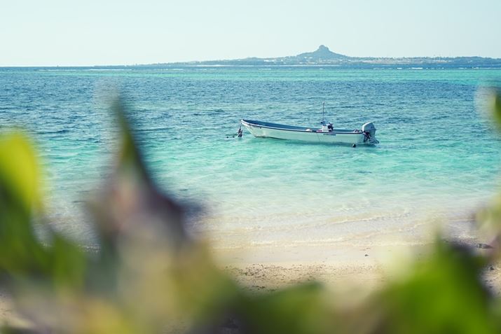 Z fcANIKKOR Z 40mm f/2AF2A1/4000AISO100AzCgoXFVANGCeBusN`[Rg[FfjiKpx90%jAANeBuD-CeBOFȂABlbgRg[FWA䂪ݕ␳FAܕ␳FAJPEGABeFcWiBeʐ^i5568×3712A8.5MBj