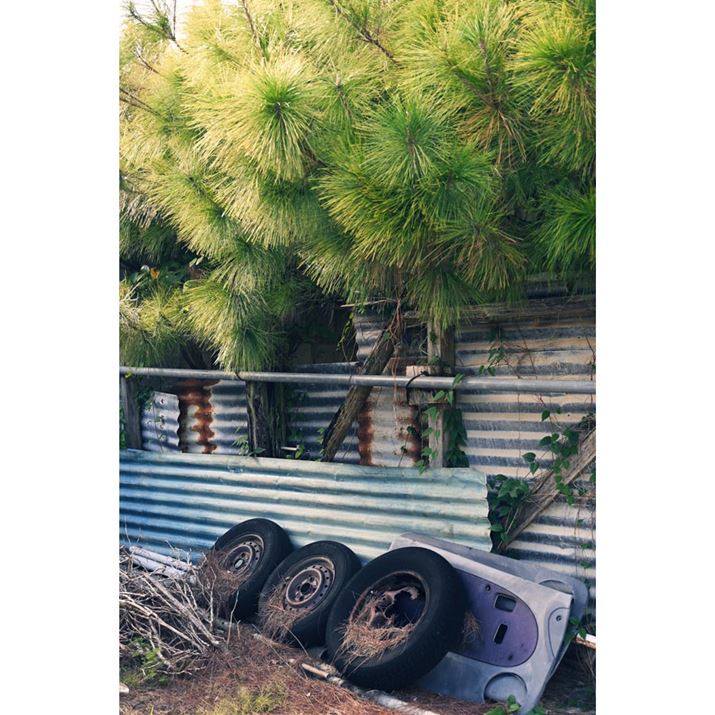 Z fcANIKKOR Z DX 18-140mm f/3.5-6.3 VRA35mmAF4.2A1/60AISO100AzCgoXFRI[gANGCeBusN`[Rg[FgCiKpx70%jAANeBuD-CeBOFȂABlbgRg[FWA䂪ݕ␳FAܕ␳FAJPEGABeFR~zBeʐ^i3712×5568A13.6MBj