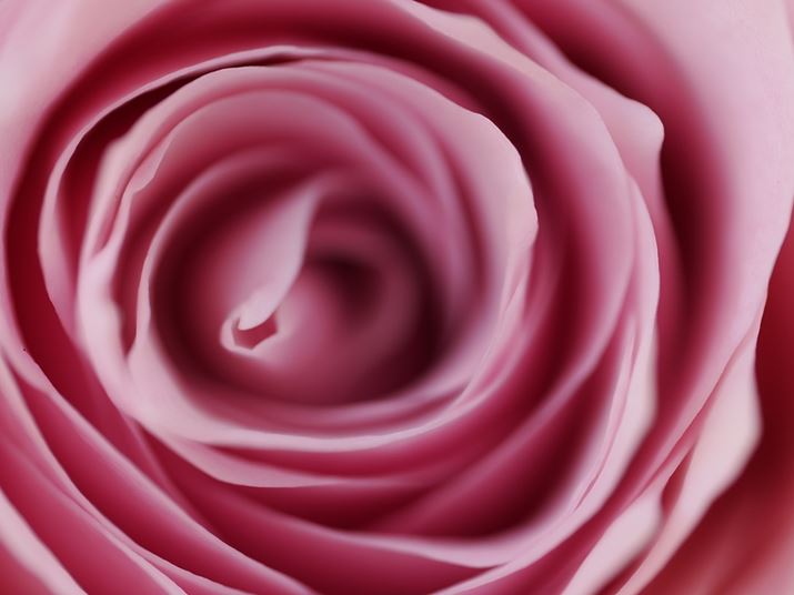 }NYƂ΂͂A܂͂ԂB肽Ȃ܂ˁBdɂdȂԂт̊炩ȕ`ʂ͂ߑ̂łOM-1AM.ZUIKO DIGITAL ED 90mm F3.5 Macro IS PROA90mmi35mmZ180mmjAF5A1/160bAISOQT0AsN`[[hFi`Beʐ^i5184×3888A7.6MBj