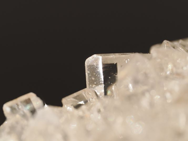 Be{8{i2{eR𑕒{uS-MACROv[h̍ŒZBejŃVK[XeBbNBeĂ݂܂Bȍ̌܂ŋȐ̂悤ɎʂĂ܂BȂAeRo[^[gp̓Y[ʑ̂܂ł̋ȂZȂ邽߁At[hOĎBe邱Ƃ߂܂OM-1AM.ZUIKO DIGITAL ED 90mm F3.5 Macro IS PRO{MC-20A360mmi35mmZ720mmjAF10A1/400bAISO500AsN`[[hFi`Beʐ^i5184×3888A9.4MBj