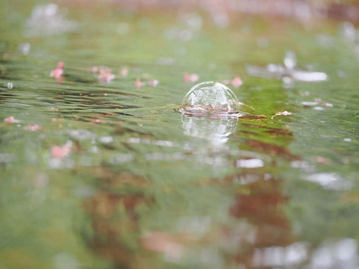 ܂ɗJAɂȂĕł̂Be܂B]YL̑Ȏ傫ȃ{PC̖A₳݂AA̕\ʂ͂ƂĂV[vɎʂƂł܂BPC̃j^[Ŏʐ^mFƂɁAA̒Ɏ̎pf荞ł̂𔭌Đ܂BBeŖ{Y̓ł1Ȃ̂ł͂ȂƎv܂OM-1AM.ZUIKO DIGITAL ED 90mm F3.5 Macro IS PROA90mmi35mmZ180mmjAF3.5A1/200bAISO2500AsN`[[hFi`Beʐ^i5184×3888A6.6MBj