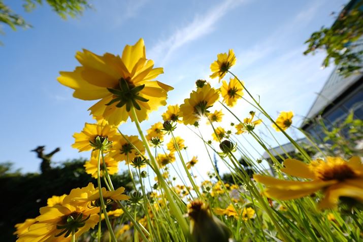 X-H2AXF8mmF3.5 R WRA8mmi35mmZ12mmjAISO125AF5.6A1/480bAzCgoXFI[gi͋CDjAtBV~[VFASTIA/\tgBeʐ^i7728×5152A17.0MBj