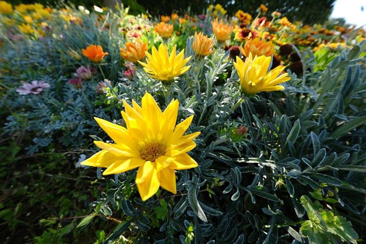 X-H2AXF8mmF3.5 R WRA8mmi35mmZ12mmjAISO125AF7.1A1/60bAzCgoXFI[gi͋CDjAtBV~[VFASTIA/\tgBeʐ^i7728×5152A18.8MBj