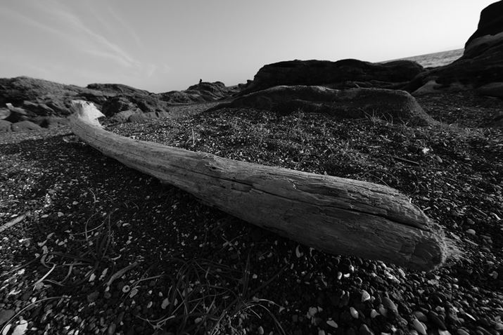 X-H2AXF8mmF3.5 R WRA8mmi35mmZ12mmjAISO125AF6.4A1/250bAzCgoXFI[gi͋CDjAtBV~[VFACROSBeʐ^i7728×5152A17.3MBj