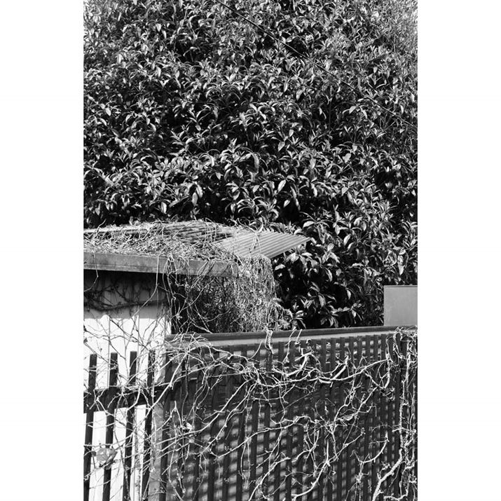 EOS R10ARF-S18-45mm F4.5-6.3 IS STMA24mmi35mmZ38mmjAF5A1/250bAISO100AzCgoXFzAsN`[X^CFmNBeʐ^i4000×6000A10.2MBj