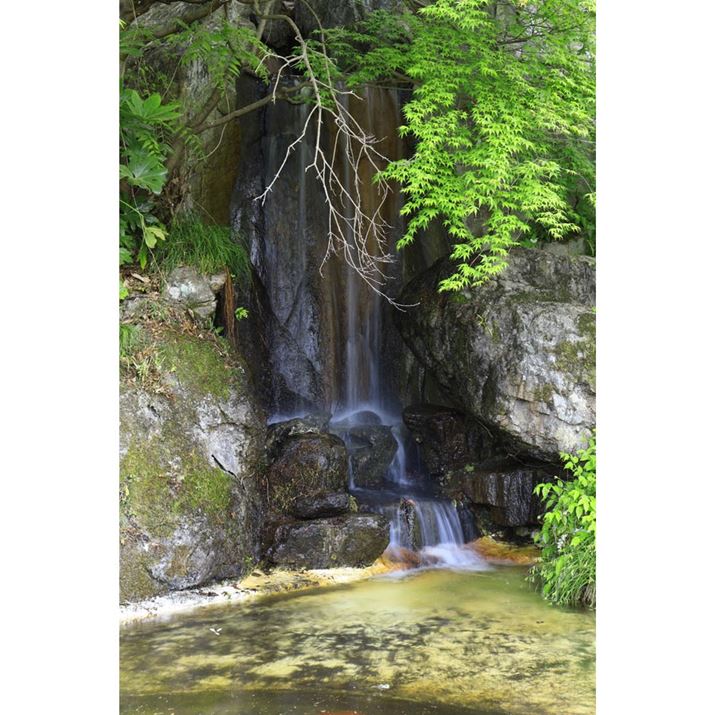 rRɂuq̑vB̐l̎Rq̒nŉ̂r񂾂ƂLOčꂽlH̑łBł͐Ԃ炷߃Vb^[Xs[h1/5b̒ᑬɐݒ肵܂Aủe}ĎBeł܂BuEOS R10v{̂ɂ͎u␳@\ڂĂ܂񂪁AuRF-S18-45mm F4.5-6.3 IS STMvɂ͕␳4i̎u␳@\Ă܂EOS R10ARF-S18-45mm F4.5-6.3 IS STMA35mmi35mmZ56mmjAF10A1/5bAISO100AzCgoXFzAsN`[X^CFiBeʐ^i4000×6000A16.4MBj