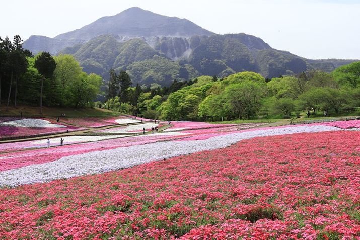 rR̎ō̋uɓI Kꂽ̂4{ŁAJ̈O炢̈ۂłB኱̔܂łÃV{bRڂ̑Oɖ]݂ȂA炫ւōBeł܂EOS R10ARF-S18-45mm F4.5-6.3 IS STMA35mmi35mmZ56mmjAF10A1/5bAISO100AzCgoXFzAsN`[X^CFiBeʐ^i6000×4000A20.1MBj