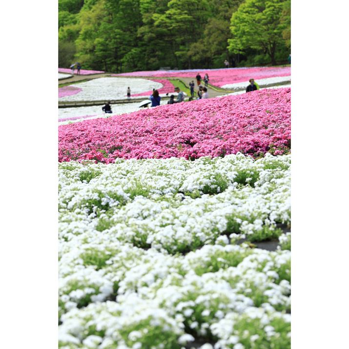 Ԕ͖]ŎB̂߁BWċԂl܂AԁX̍炫ւlqƂĂۓIɕ\ł悤ɂȂ܂EOS R10ARF-S18-150mm F3.5-6.3 IS STMA86mmi35mmZ138mmjAF6.3A1/320bAISO100AzCgoXFzAsN`[X^CFiBeʐ^i4000×6000A11.6MBj