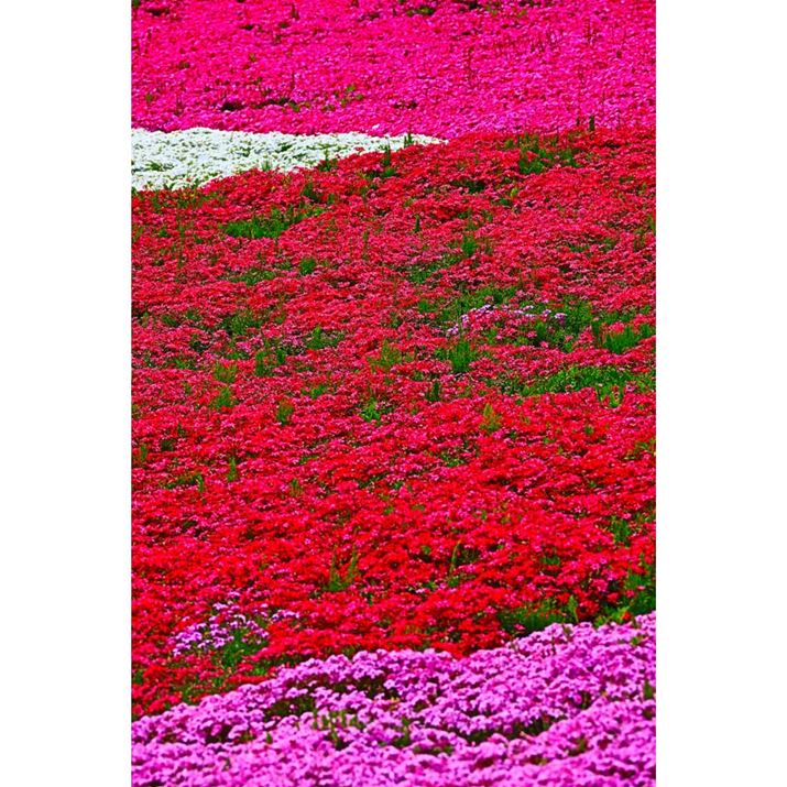 J̃tB^[@\gĉyނ̂߂łBł́uʕvŁAJtȐFȂApŐ؂܂EOS R10ARF-S18-150mm F3.5-6.3 IS STMA150mmi35mmZ240mmjAF6.3A1/250bAISO125AzCgoXFzAsN`[X^CFiANGCeButB^[FʕBeʐ^i4000×6000A26.9MBj