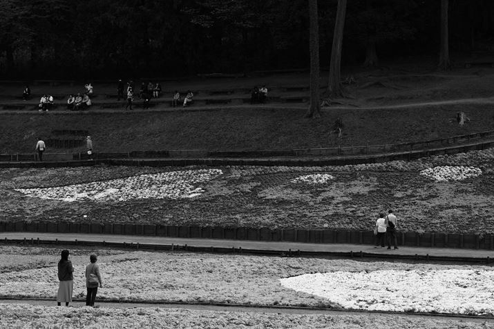 EOS R10ARF-S18-150mm F3.5-6.3 IS STMA150mmi35mmZ240mmjAF8A1/250bAISO100AzCgoXFzAsN`[X^CFmNBeʐ^i6000×4000A11.1MBj