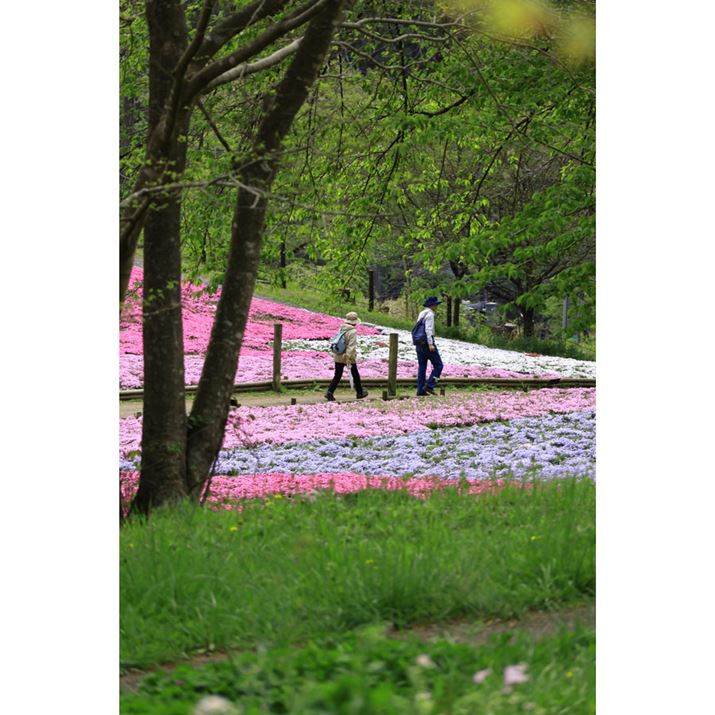 EOS R10ARF-S18-150mm F3.5-6.3 IS STMA150mmi35mmZ240mmjAF6.3A1/320bAISO200AzCgoXFzAsN`[X^CFi