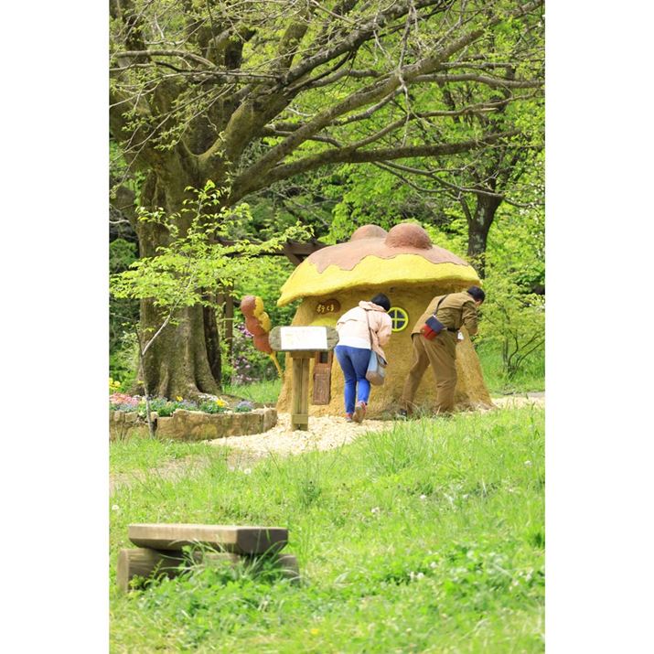 ō̋uɂ́u|e܂v̉Ƃ܂EOS R10ARF-S18-150mm F3.5-6.3 IS STMA150mmi35mmZ240mmjAF6.3A1/320bAISO500AzCgoXFzAsN`[X^CFi