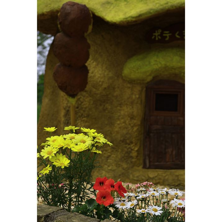 EOS R10ARF-S18-150mm F3.5-6.3 IS STMA62mmi35mmZ99mmjAF6.3A1/500bAISO100AzCgoXFzAsN`[X^CFiBeʐ^i4000×6000A8.7MBj