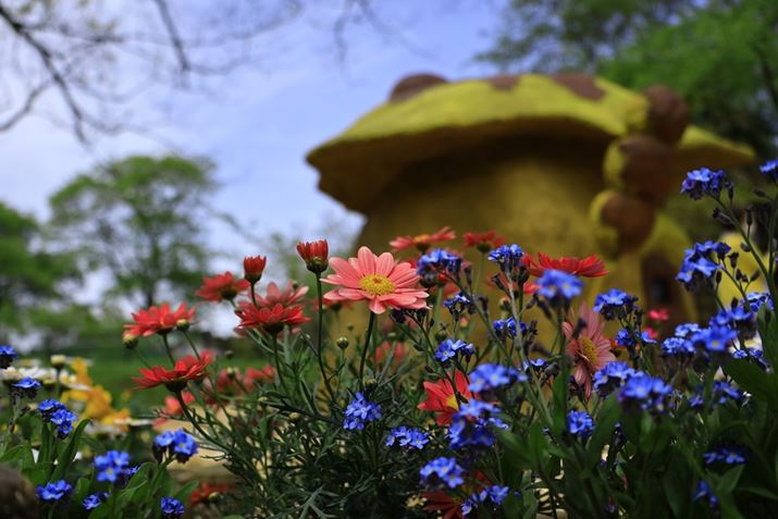 EOS R10ARF-S18-150mm F3.5-6.3 IS STMA18mmi35mmZ29mmjAF3.5A1/1000bAISO100AzCgoXFzAsN`[X^CFiBeʐ^i6000×4000A7.9MBj