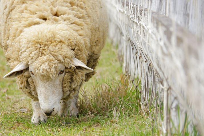 rRŕqĂrBAF̔ʑ̌o𓮕DɂAdq斋ōō15R}/b̍AʂŎBeB蓵Ƀsg킹ȂBeł܂BuEOS R10v͓̎Beob`̃JłEOS R10ARF-S18-150mm F3.5-6.3 IS STMA150mmi35mmZ240mmjAF6.3A1/320bAISO400AzCgoXFzAsN`[X^CFX^_[hBeʐ^i6000×4000A9.0MBj