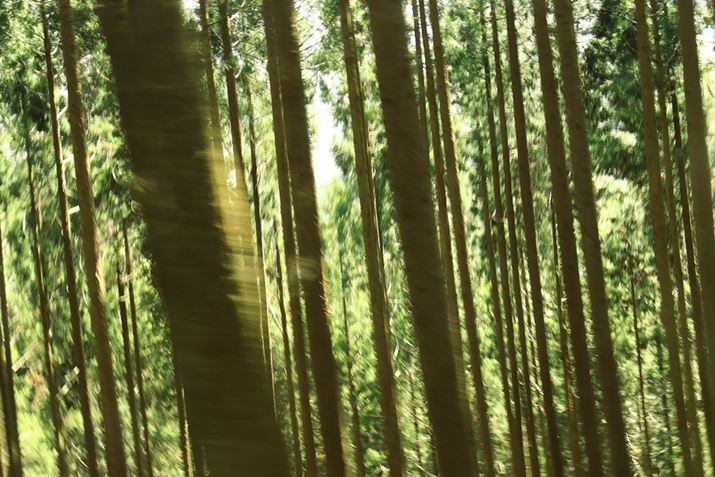 EOS R10ARF-S18-45mm F4.5-6.3 IS STMA27mmi35mmZ43mmjAF5A1/60bAISO400AzCgoXFAsN`[X^CFiBeʐ^i6000×4000A11.1MBj