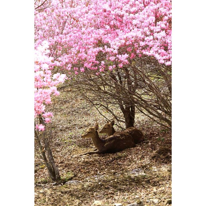 _ЂɌrAɑEOS R10ARF-S18-150mm F3.5-6.3 IS STMA92mmi35mmZ147mmjAF6.3A1/160bAISO160AzCgoXFzAsN`[X^CFiBeʐ^i4000×6000A20.8MBj