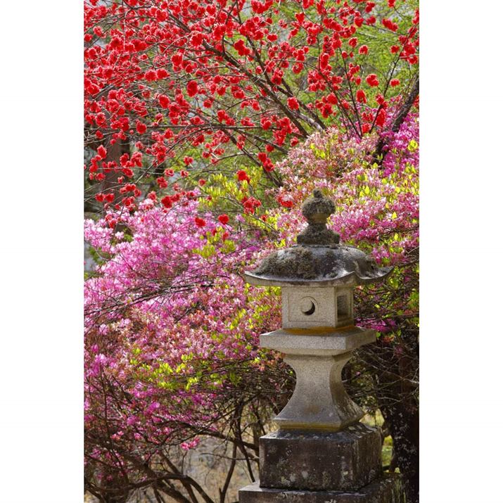 EOS R10ARF-S18-150mm F3.5-6.3 IS STMA70mmi35mmZ112mmjAF6.3A1/125bAISO100AzCgoXFzAsN`[X^CFX^_[hBeʐ^i4000×6000A18.4MBj