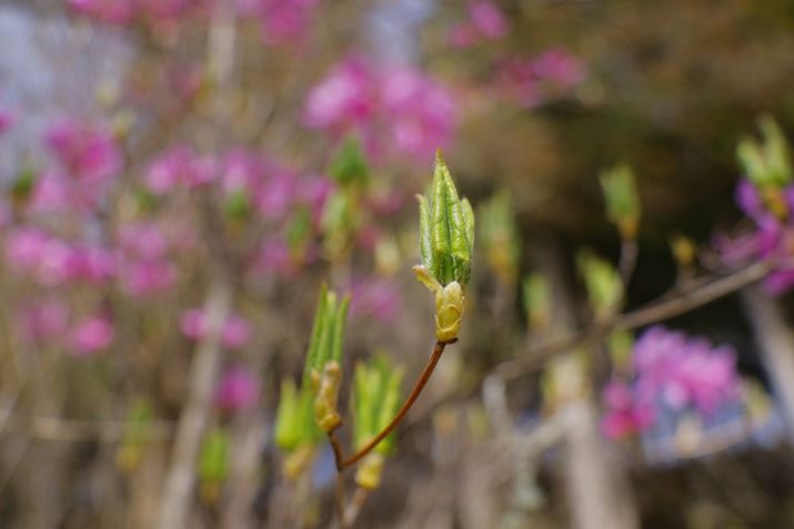 EOS R10ARF-S18-150mm F3.5-6.3 IS STMA18mmi35mmZ29mmjAF3.5A1/640bAISO100AzCgoXFzAsN`[X^CFX^_[hBeʐ^i6000×4000A6.8MBj