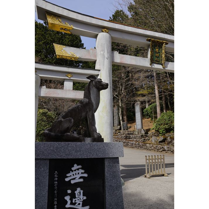 {ł͒ƂQ̎OcB傫Ȓ̗eȒgݍ킳Ă̂IBO_Ђ͍ł͂ȂAT_B̘T̑܂̂łEOS R10ARF-S18-150mm F3.5-6.3 IS STMA18mmi35mmZ29mmjAF8A1/250bAISO100AzCgoXFzAsN`[X^CFX^_[hBeʐ^i4000×6000A15.3MBj