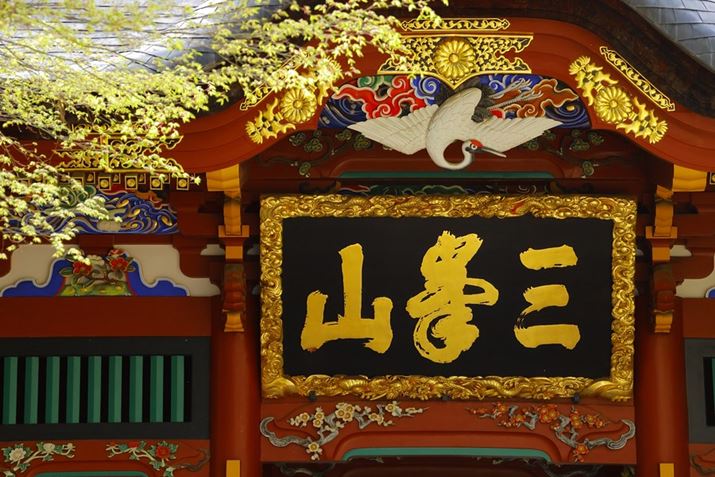 EOS R10ARF-S18-150mm F3.5-6.3 IS STMA84mmi35mmZ134mmjAF6.3A1/160bAISO1250AzCgoXFzAsN`[X^CFX^_[hBeʐ^i6000×4000A11.3MBj