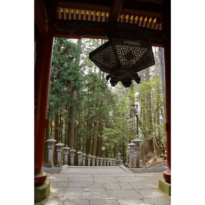 EOS R10ARF-S18-150mm F3.5-6.3 IS STMA18mmi35mmZ29mmjAF5.6A1/60bAISO500AzCgoXFzAsN`[X^CFX^_[hBeʐ^i4000×6000A12.0MBj