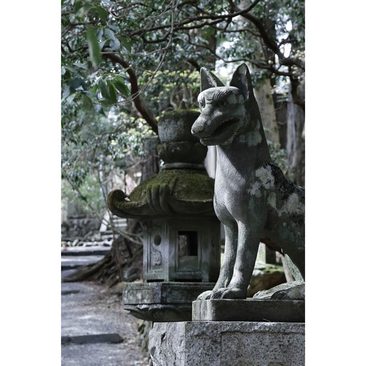 EOS R10ARF-S18-150mm F3.5-6.3 IS STMA70mmi35mmZ112mmjAF6.3A1/125bAISO1250AzCgoXFFxݒi3900KjAsN`[X^CFfBe[dBeʐ^i4000×6000A10.9MBj