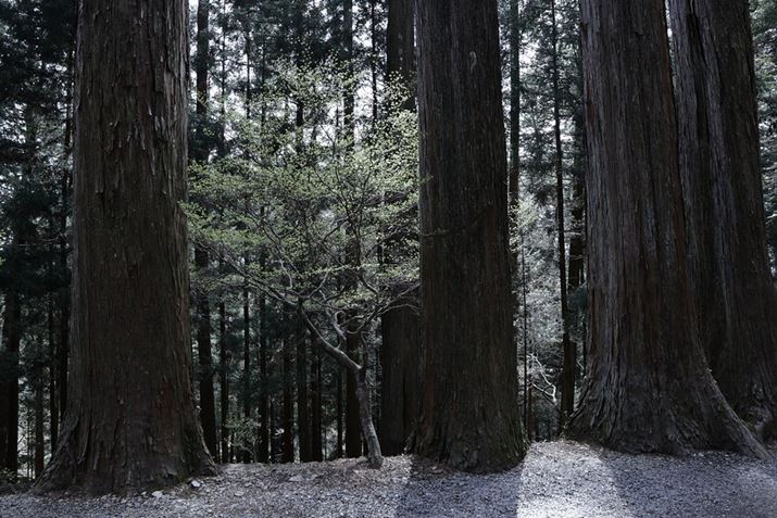 EOS R10ARF-S18-150mm F3.5-6.3 IS STMA18mmi35mmZ29mmjAF3.5A1/60bAISO100AzCgoXFFxݒi3900KjAsN`[X^CFfBe[dBeʐ^i6000×4000A14.8MBj