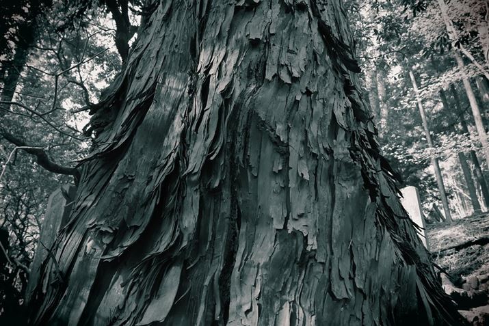 EOS R10ARF-S18-150mm F3.5-6.3 IS STMA18mmi35mmZ29mmjAF3.5A1/80bAISO500AzCgoXFFxݒi3900KjAsN`[X^CFmNANGCeButB^[FgCJBeʐ^i6000×4000A9.3MBj