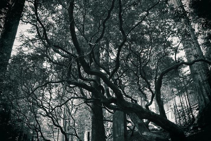 EOS R10ARF-S18-150mm F3.5-6.3 IS STMA18mmi35mmZ29mmjAF3.5A1/80bAISO500AzCgoXFFxݒi3900KjAsN`[X^CFmNANGCeButB^[FgCJBeʐ^i6000×4000A12.7MBj