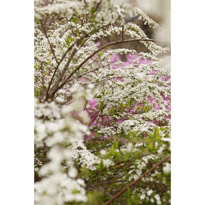 EOS R10ARF35mm F1.8 MACRO IS STMA35mmi35mmZ56mmjAF4A1/200bAISO100AzCgoXFAsN`[X^CFI[gBeʐ^i4000×6000A9.7MBj