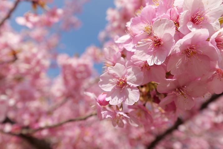 LUMIX S5IIALUMIX S 14-28mm F4-5.6 MACROA28mmAF5.6A1/400bAISO100AWBFI[giEH[jAtHgX^CFX^_[hBeʐ^i6000×4000A7.8MBj