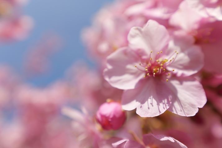 LUMIX S5IIALUMIX S 14-28mm F4-5.6 MACROA28mmAF5.6A1/400bAISO100AWBFI[giEH[jAtHgX^CFX^_[hBeʐ^i6000×4000A6.9MBj