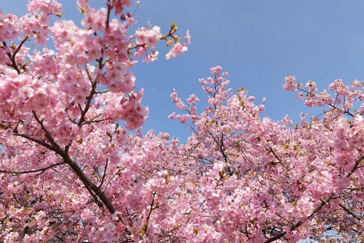 LUMIX S5IIALUMIX S 14-28mm F4-5.6 MACROA28mmAF5.6A1/400bAISO100AWBFI[giEH[jAtHgX^CFX^_[hBeʐ^i6000×4000A12.2MBj