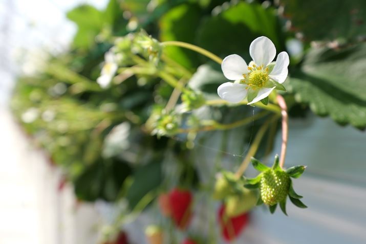 LUMIX S5IIALUMIX S 14-28mm F4-5.6 MACROA28mmAF5.6A1/160bAISO100AWBFI[giEH[jAtHgX^CFX^_[hBeʐ^i6000×4000A7.3MBj