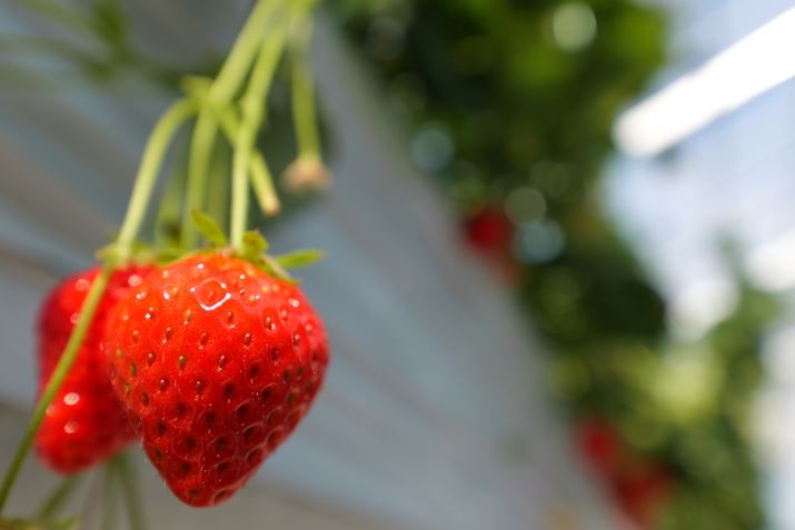 LUMIX S5IIALUMIX S 14-28mm F4-5.6 MACROA28mmAF5.6A1/200bAISO100AWBFI[giEH[jAtHgX^CFX^_[hBeʐ^i6000×4000A8.1MBj