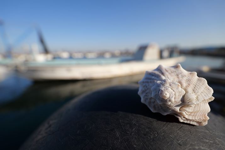 LUMIX S5IIALUMIX S 14-28mm F4-5.6 MACROA14mmAF4.5A1/640bAISO100AWBFVAtHgX^CFX^_[hBeʐ^i6000×4000A7.4MBj