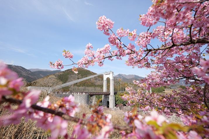 LUMIX S5IIALUMIX S 14-28mm F4-5.6 MACROA14mmAF4A1/500bAISO100AWBFI[giEH[jAtHgX^CFX^_[hBeʐ^i6000×4000A12.1MBj