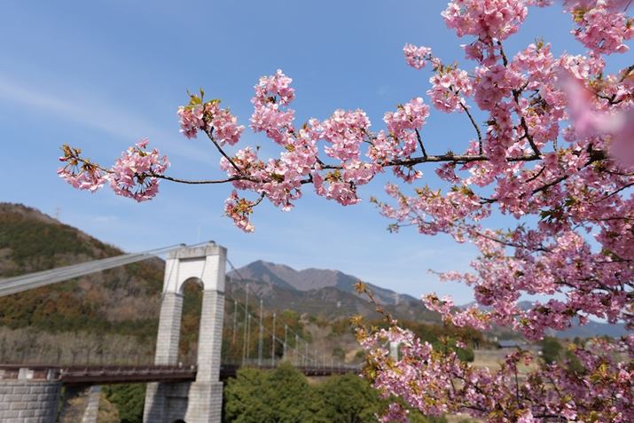 LUMIX S5IIALUMIX S 14-28mm F4-5.6 MACROA28mmAF5.6A1/400bAISO100AWBFI[giEH[jAtHgX^CFX^_[hBeʐ^i6000×4000A7.4MBj