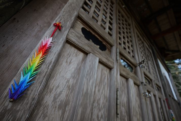 LUMIX S5IIALUMIX S 14-28mm F4-5.6 MACROA14mmAF6.3A1/125bAISO100AWBFAAtHgX^CFX^_[hBeʐ^i6000×4000A9.1MBj