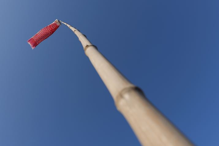 LUMIX S5IIALUMIX S 14-28mm F4-5.6 MACROA14mmAF6.3A1/640bAISO100AWBFVAtHgX^CFX^_[hBeʐ^i6000×4000A7.7MBj