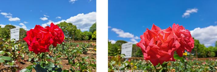 [g̃oBeB@̔Fɂ͂ƈႢAuGalaxy A54 5Gv̂ق̈ۂɋ߂݂ттFČĂBuGalaxy A53 5Gv͈ӊOƂƂĂAFԂт̃fBe[ddオ肾BwiɂĂ͂_͓ۗAuGalaxy A53 5Gv̂ق苭ĂBeʐ^FGalaxy A54 5GA3.08MBEGalaxy A53 5GA4.21MB