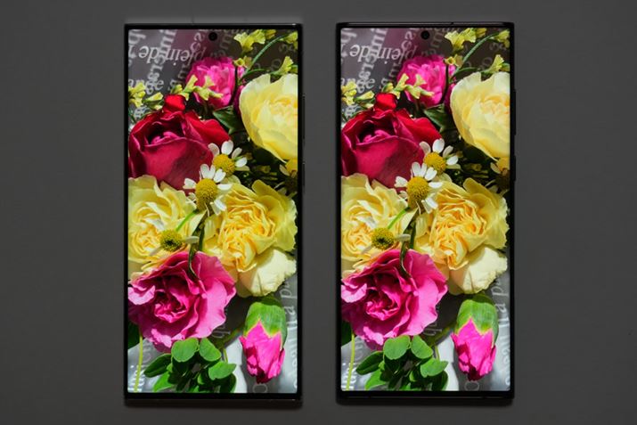 fBXvC̕ύX_͋KX̂݁BPxAFɂႢ͊܂