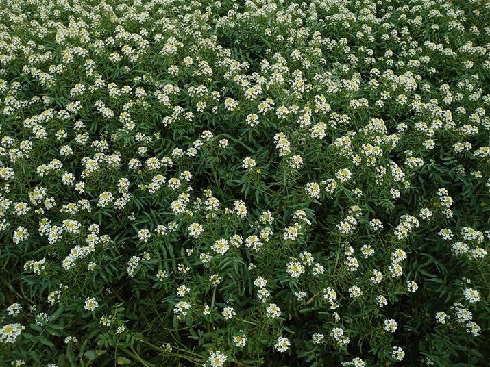 Xperia 5AISO64AF1.6A1/320bBeʐ^i4032×3024A7.1MBj