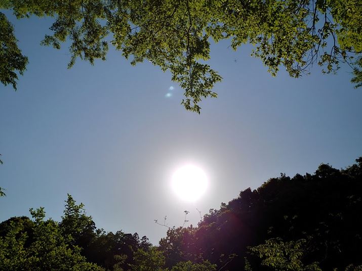 Xperia 5AISO64AF1.6A1/8000bBeʐ^i4032×3024A4.1MBj